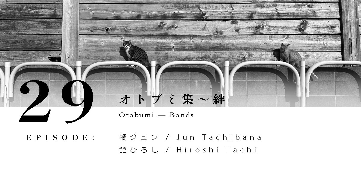 オトブミ集〜絆
